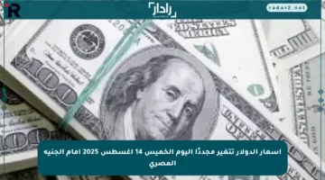 أسعار الدولار تتغير مجددًا اليوم الخميس 14 أغسطس 2025 أمام الجنيه المصري